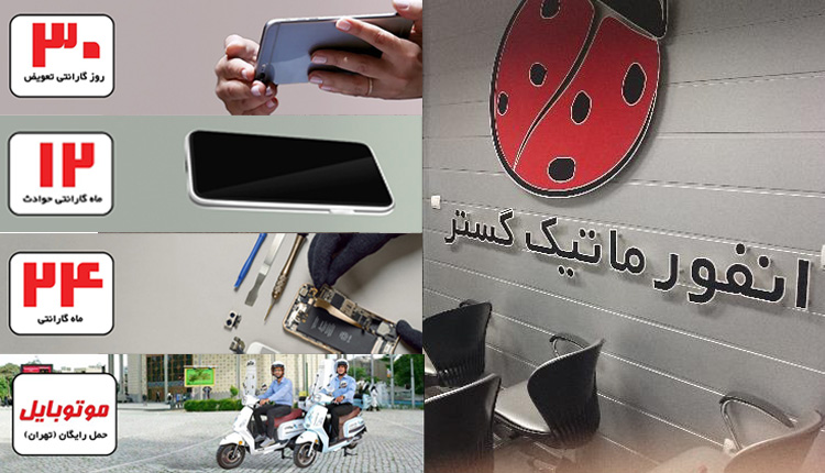 هاگ سرویس